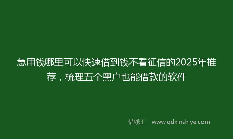 急用钱哪里可以快速借到钱不看征信的2025年推荐，梳理五个黑户也能借款的软件