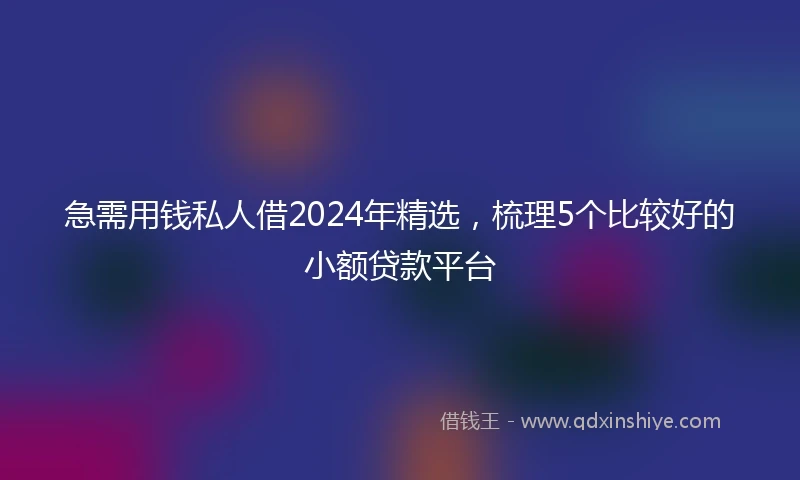 急需用钱私人借2024年精选，梳理5个比较好的小额贷款平台