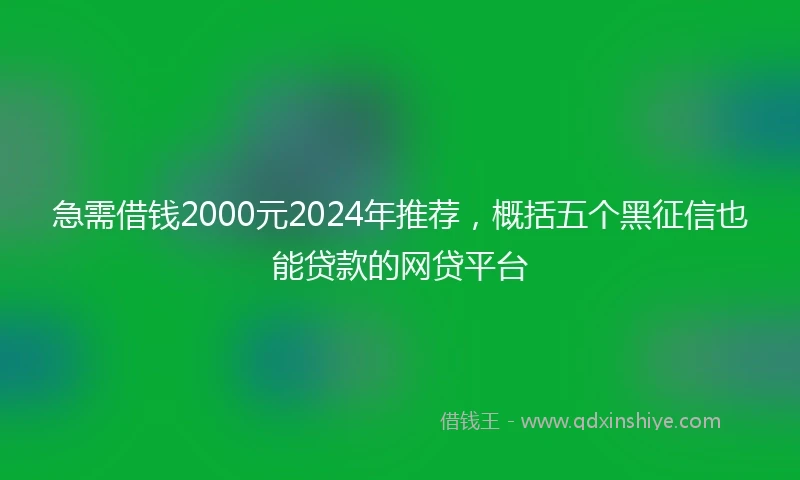 急需借钱2000元2024年推荐,概括五个黑征信也能贷款的网贷平台
