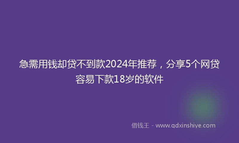 急需用钱却贷不到款2024年推荐，分享5个网贷容易下款18岁的软件