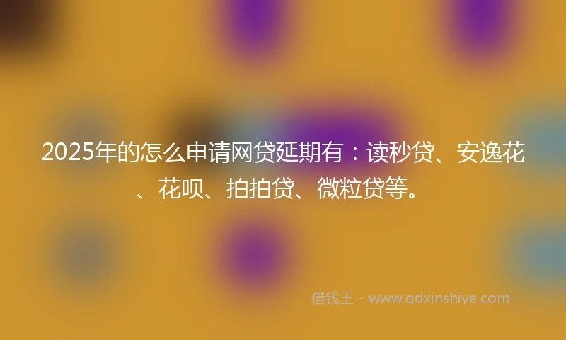 2025年的怎么申请网贷延期有：读秒贷、安逸花、花呗、拍拍贷、微粒贷等。