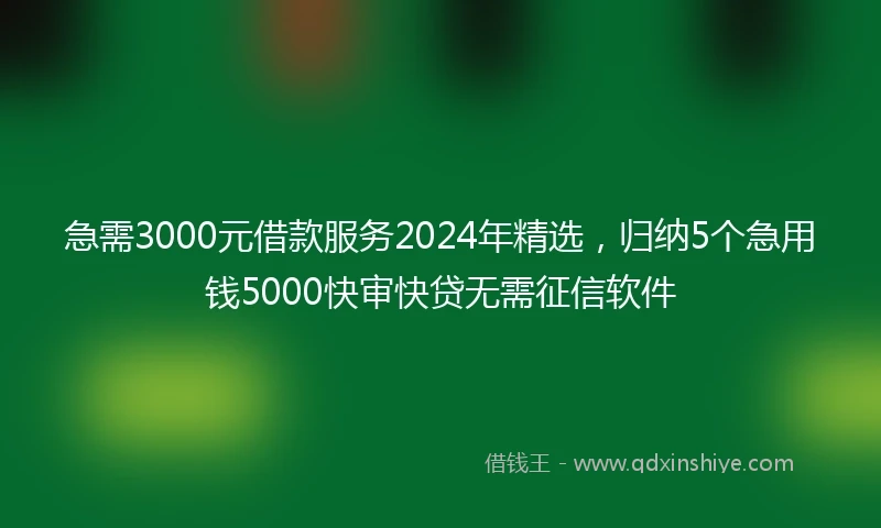 急需3000元借款服务2024年精选，归纳5个急用钱5000快审快贷无需征信软件