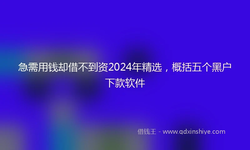 急需用钱却借不到资2024年精选，概括五个黑户下款软件
