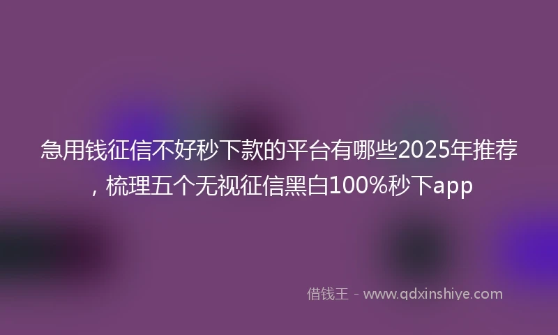 急用钱征信不好秒下款的平台有哪些2025年推荐，梳理五个无视征信黑白100%秒下app