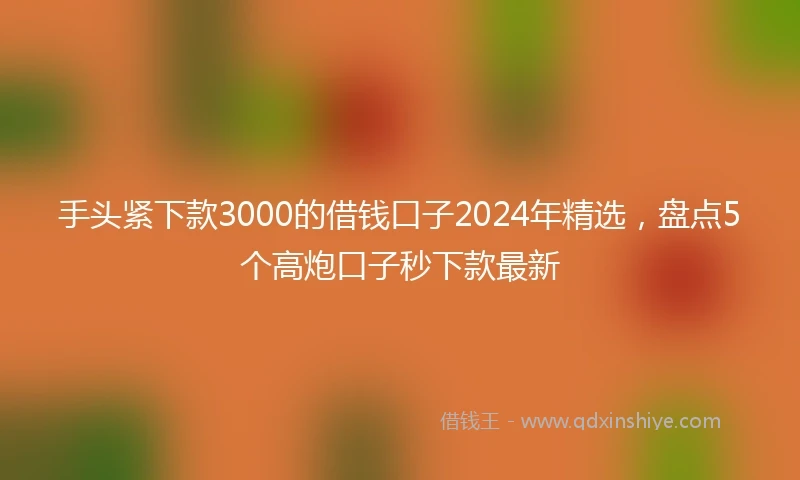 手头紧下款3000的借钱口子2024年精选，盘点5个高炮口子秒下款最新
