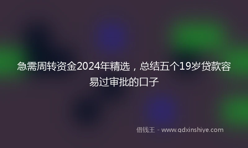 急需周转资金2024年精选，总结五个19岁贷款容易过审批的口子