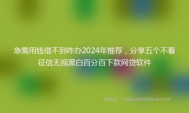 急需用钱借不到咋办2024年推荐，分享五个不看征信无视黑白百分百下款网贷软件