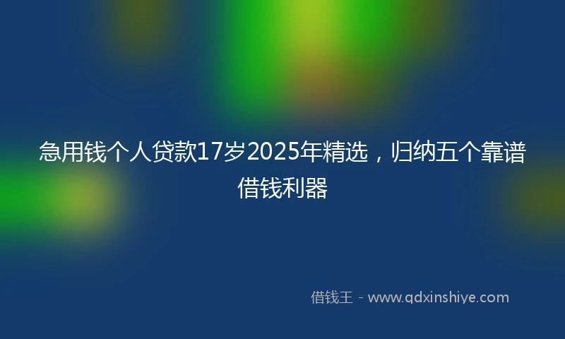 急用钱个人贷款17岁2025年精选，归纳五个靠谱借钱利器