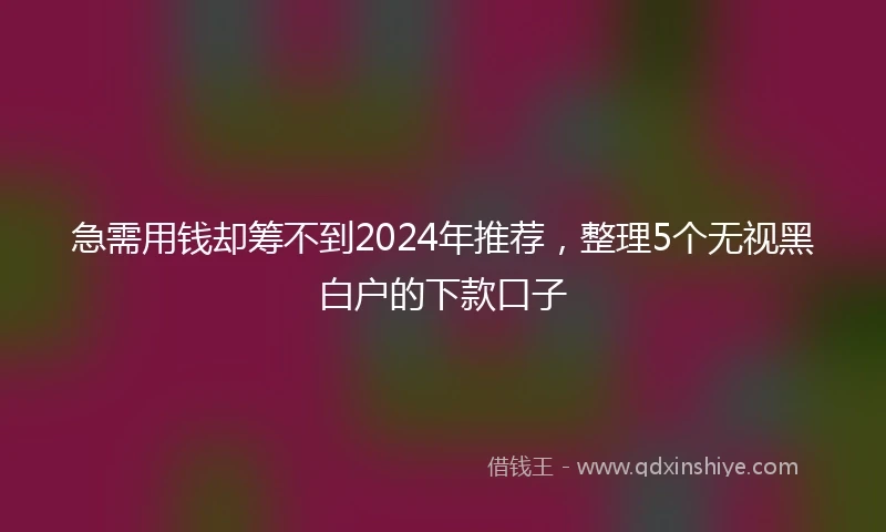 急需用钱却筹不到2024年推荐，整理5个无视黑白户的下款口子