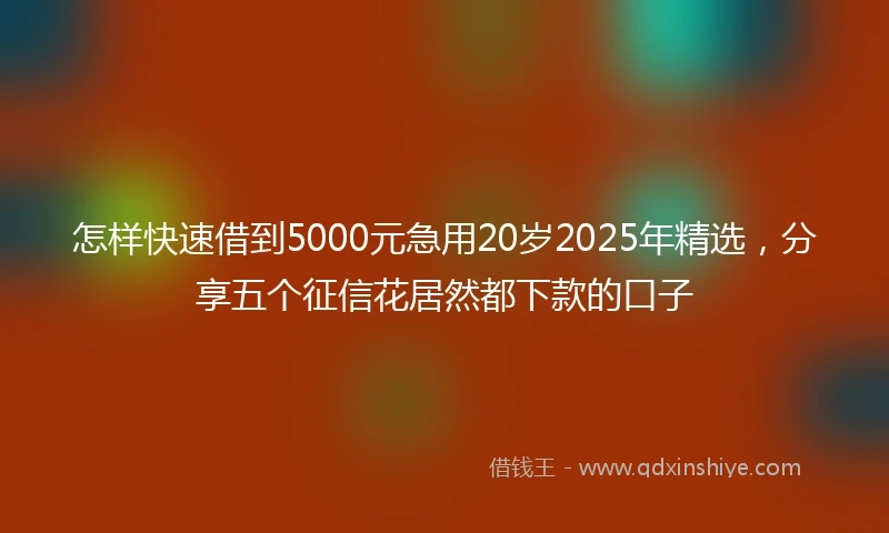 怎样快速借到5000元急用20岁2025年精选，分享五个征信花居然都下款的口子