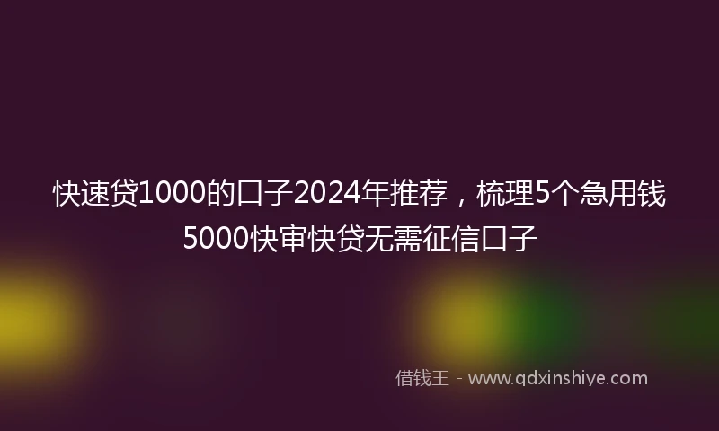 快速贷1000的口子2024年推荐，梳理5个急用钱5000快审快贷无需征信口子