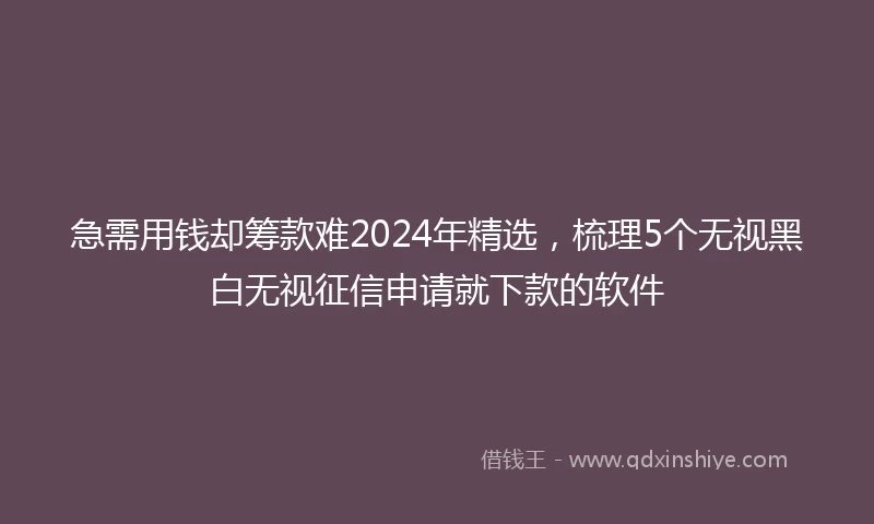 急需用钱却筹款难2024年精选，梳理5个无视黑白无视征信申请就下款的软件