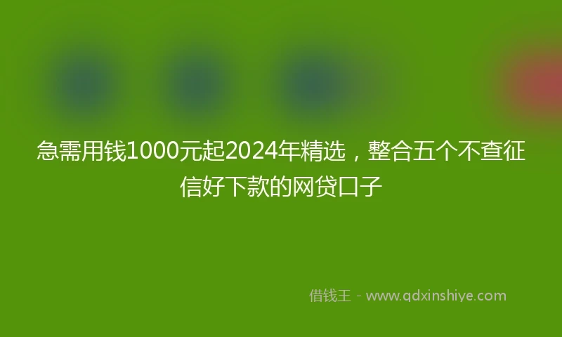 急需用钱1000元起2024年精选，整合五个不查征信好下款的网贷口子