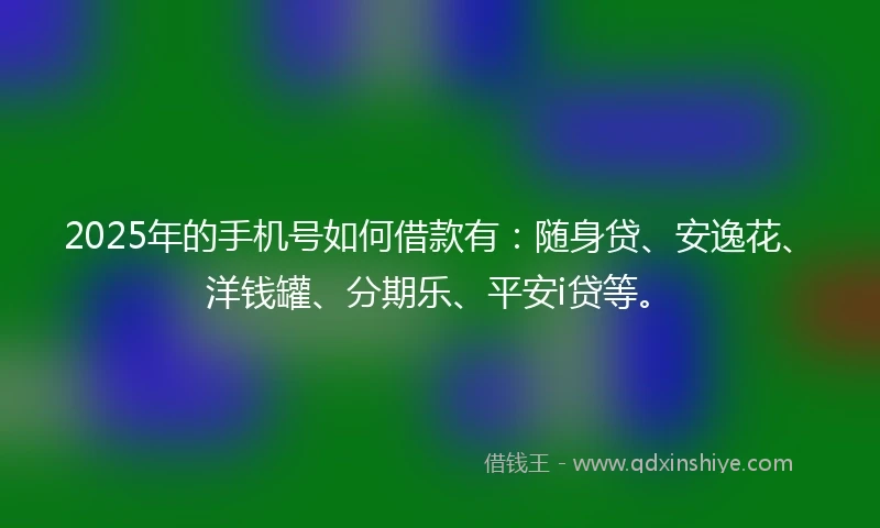 2025年的手机号如何借款有：随身贷、安逸花、洋钱罐、分期乐、平安i贷等。
