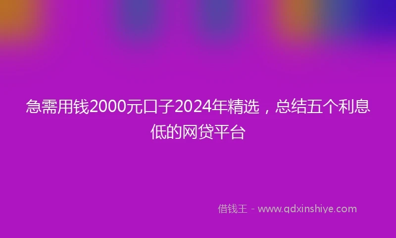 急需用钱2000元口子2024年精选，总结五个利息低的网贷平台