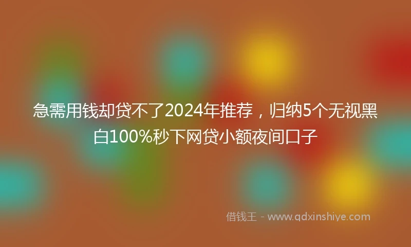 急需用钱却贷不了2024年推荐，归纳5个无视黑白100%秒下网贷小额夜间口子