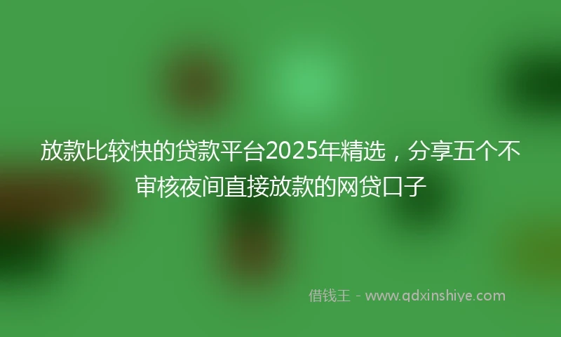 放款比较快的贷款平台2025年精选，分享五个不审核夜间直接放款的网贷口子