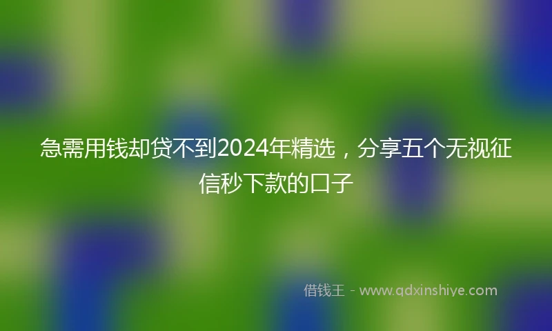 急需用钱却贷不到2024年精选，分享五个无视征信秒下款的口子
