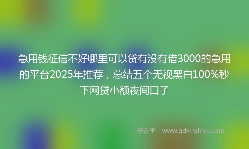 急用钱征信不好哪里可以贷有没有借3000的急用的平台2025年推荐，总结五个无视黑白100%秒下网贷小额夜间口子