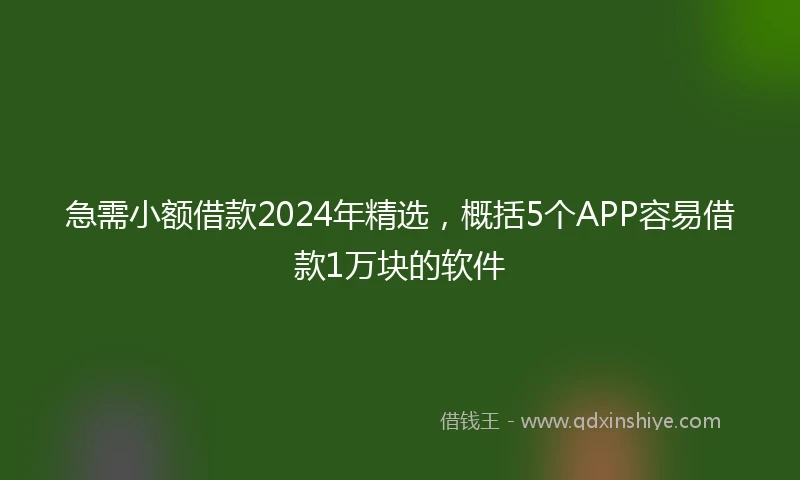 急需小额借款2024年精选，概括5个APP容易借款1万块的软件