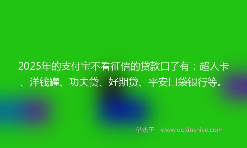 2025年的支付宝不看征信的贷款口子有：超人卡、洋钱罐、功夫贷、好期贷、平安口袋银行等。