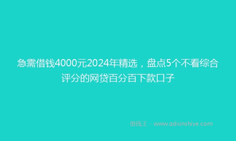 急需借钱4000元2024年精选，盘点5个不看综合评分的网贷百分百下款口子