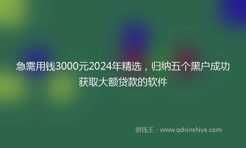 急需用钱3000元2024年精选，归纳五个黑户成功获取大额贷款的软件