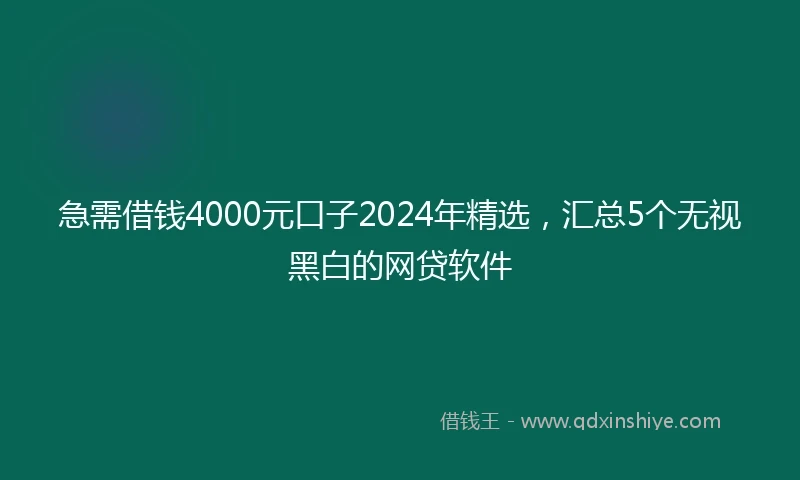 急需借钱4000元口子2024年精选，汇总5个无视黑白的网贷软件