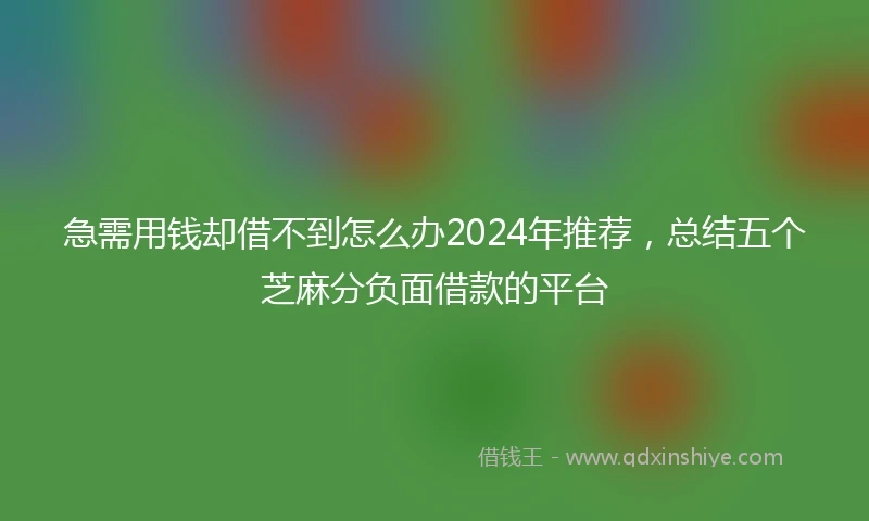 急需用钱却借不到怎么办2024年推荐，总结五个芝麻分负面借款的平台