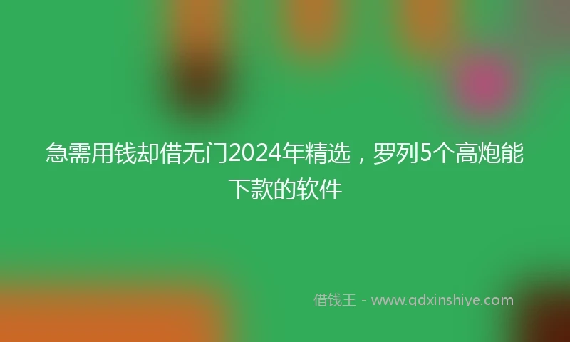 急需用钱却借无门2024年精选，罗列5个高炮能下款的软件