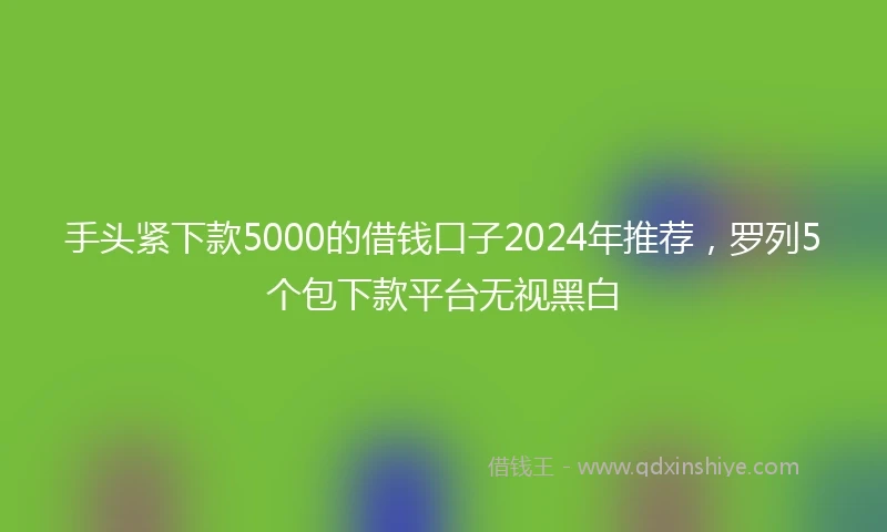 手头紧下款5000的借钱口子2024年推荐，罗列5个包下款平台无视黑白