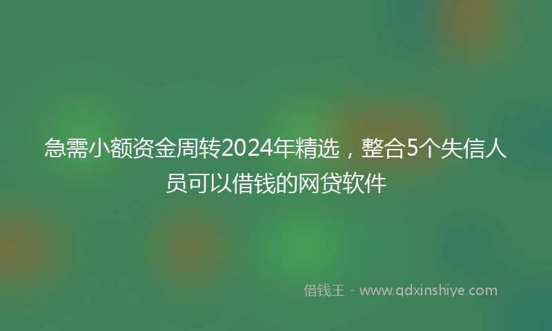 急需小额资金周转2024年精选，整合5个失信人员可以借钱的网贷软件