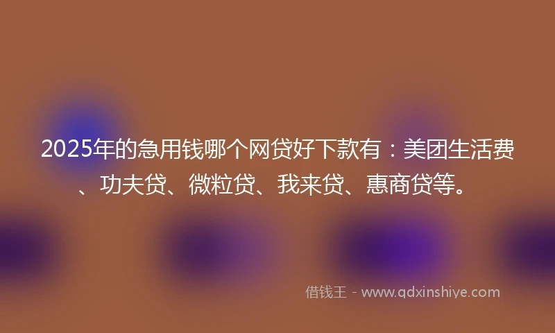 2025年的急用钱哪个网贷好下款有：美团生活费、功夫贷、微粒贷、我来贷、惠商贷等。