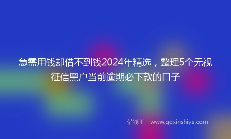 急需用钱却借不到钱2024年精选，整理5个无视征信黑户当前逾期必下款的口子