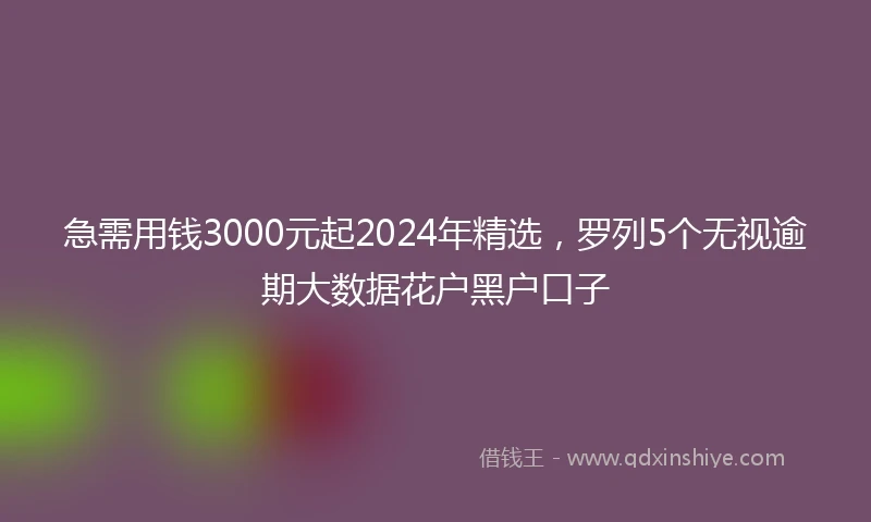 急需用钱3000元起2024年精选，罗列5个无视逾期大数据花户黑户口子