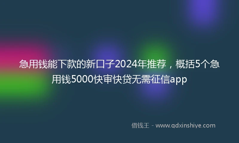 急用钱能下款的新口子2024年推荐，概括5个急用钱5000快审快贷无需征信app