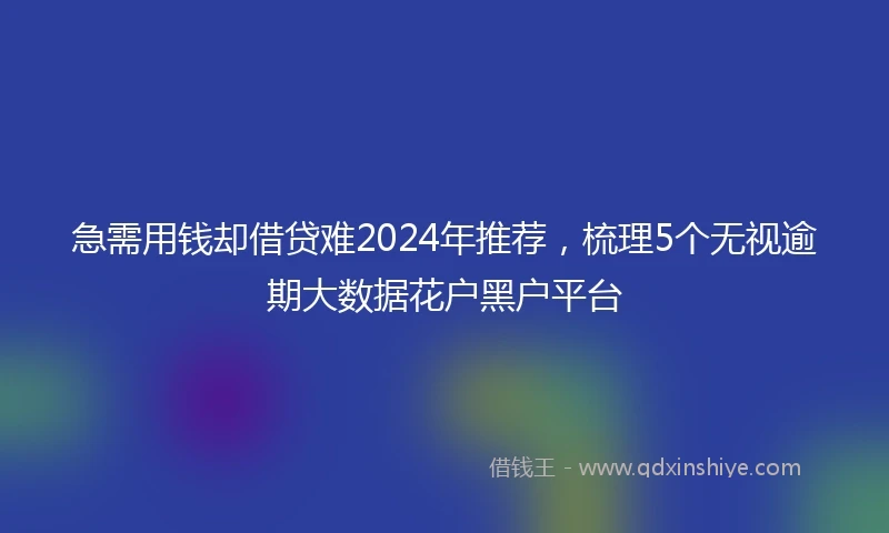 急需用钱却借贷难2024年推荐，梳理5个无视逾期大数据花户黑户平台