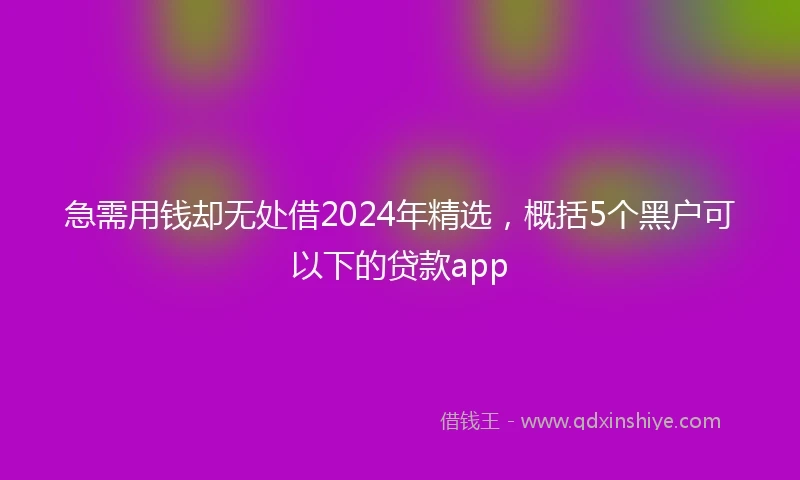 急需用钱却无处借2024年精选，概括5个黑户可以下的贷款app