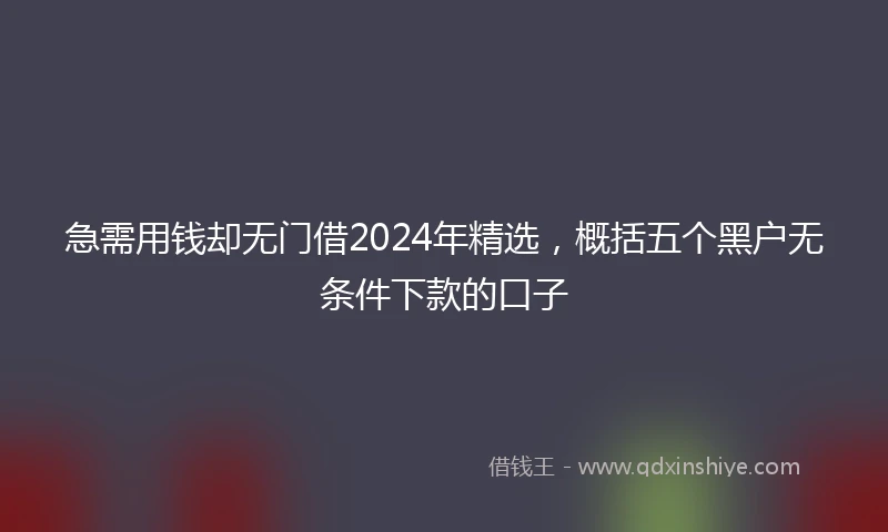 急需用钱却无门借2024年精选，概括五个黑户无条件下款的口子