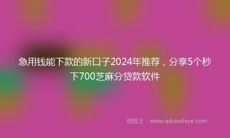 急用钱能下款的新口子2024年推荐，分享5个秒下700芝麻分贷款软件