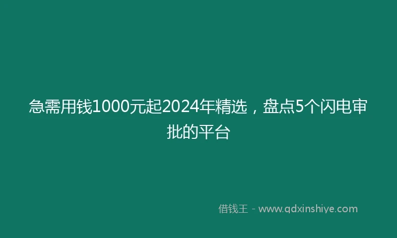 急需用钱1000元起2024年精选，盘点5个闪电审批的平台