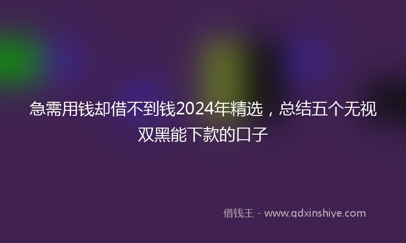 急需用钱却借不到钱2024年精选，总结五个无视双黑能下款的口子