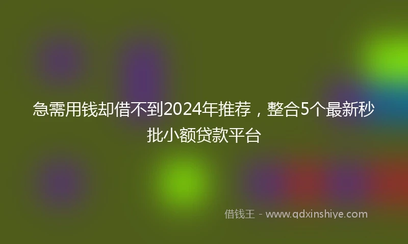 急需用钱却借不到2024年推荐，整合5个最新秒批小额贷款平台