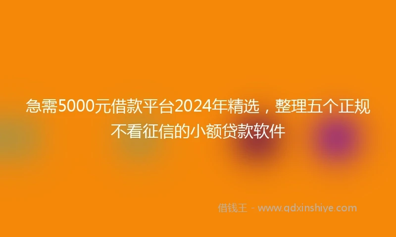 急需5000元借款平台2024年精选，整理五个正规不看征信的小额贷款软件