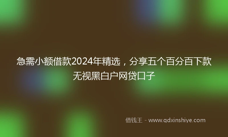 急需小额借款2024年精选，分享五个百分百下款无视黑白户网贷口子