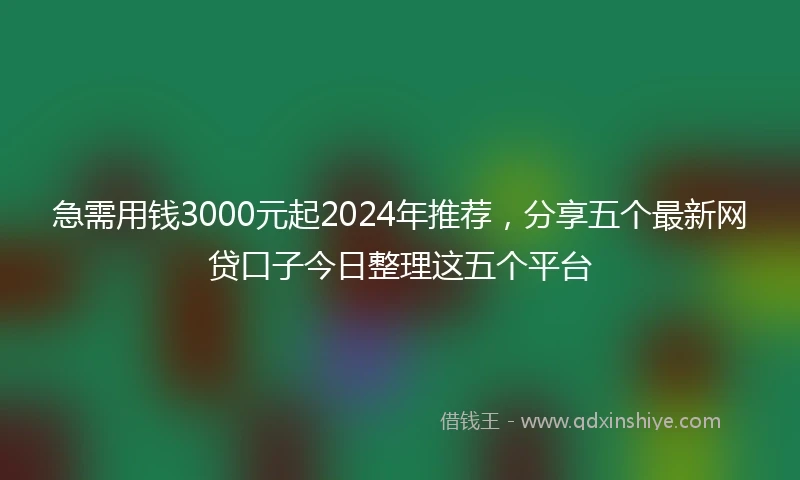 急需用钱3000元起2024年推荐，分享五个最新网贷口子今日整理这五个平台