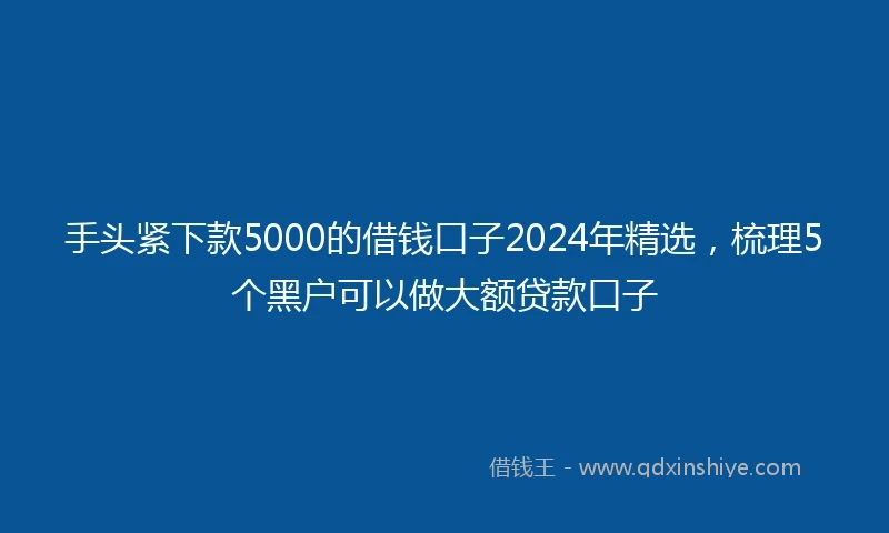 手头紧下款5000的借钱口子2024年精选，梳理5个黑户可以做大额贷款口子