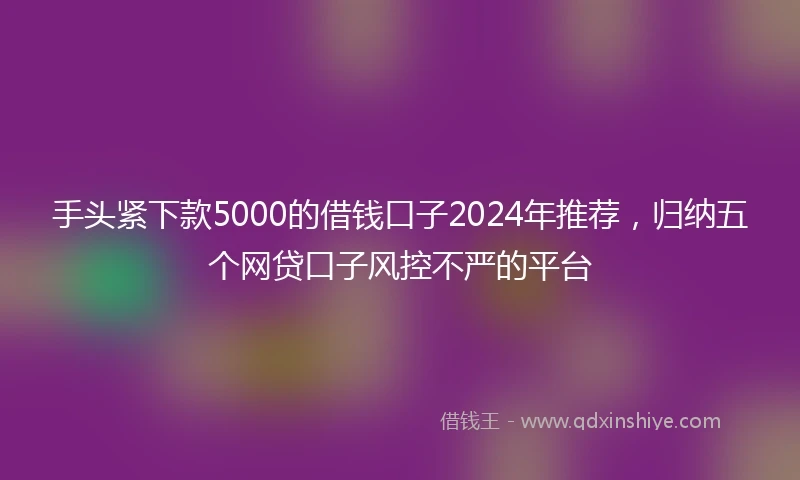 手头紧下款5000的借钱口子2024年推荐，归纳五个网贷口子风控不严的平台
