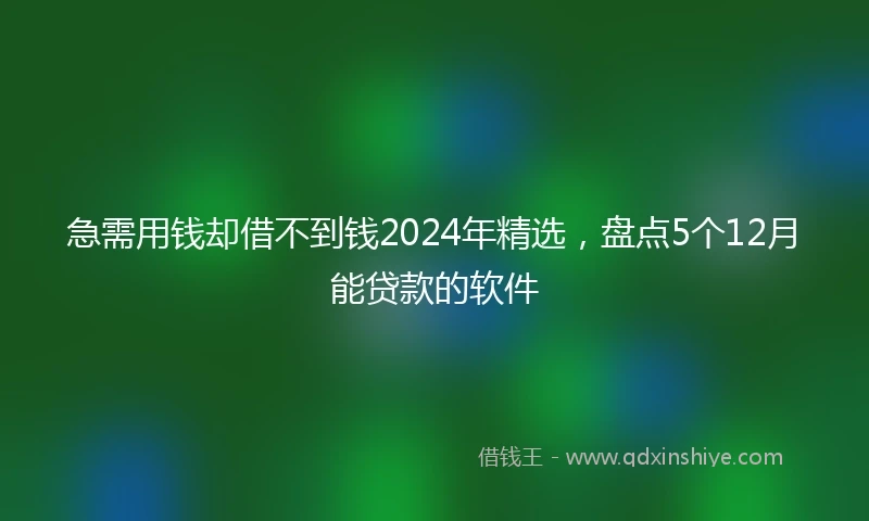 急需用钱却借不到钱2024年精选，盘点5个12月能贷款的软件