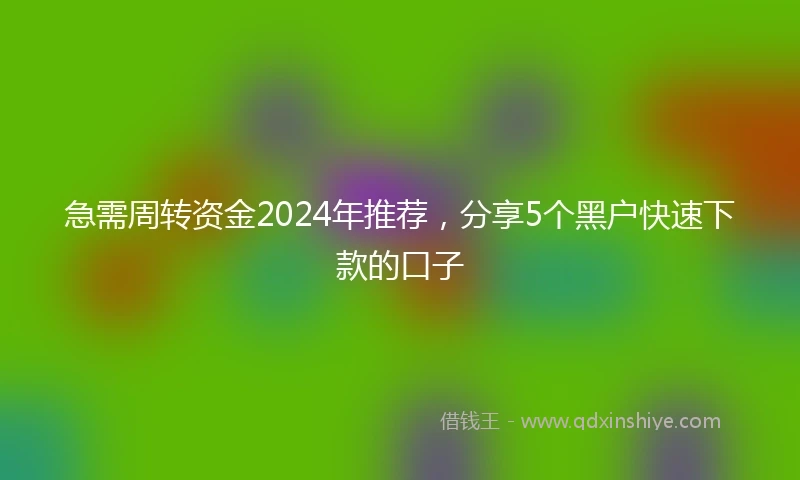 急需周转资金2024年推荐，分享5个黑户快速下款的口子